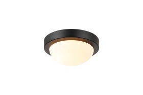 D0771  Porter 21cm Glass IP44 Flush Ceiling 1 Light Satin Black, Opal